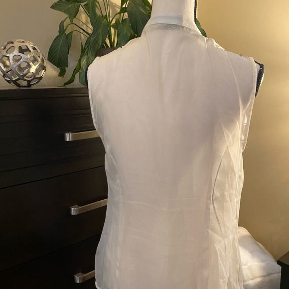 The Limited Sheer Ruffled Blouse - Picture 7 of 10